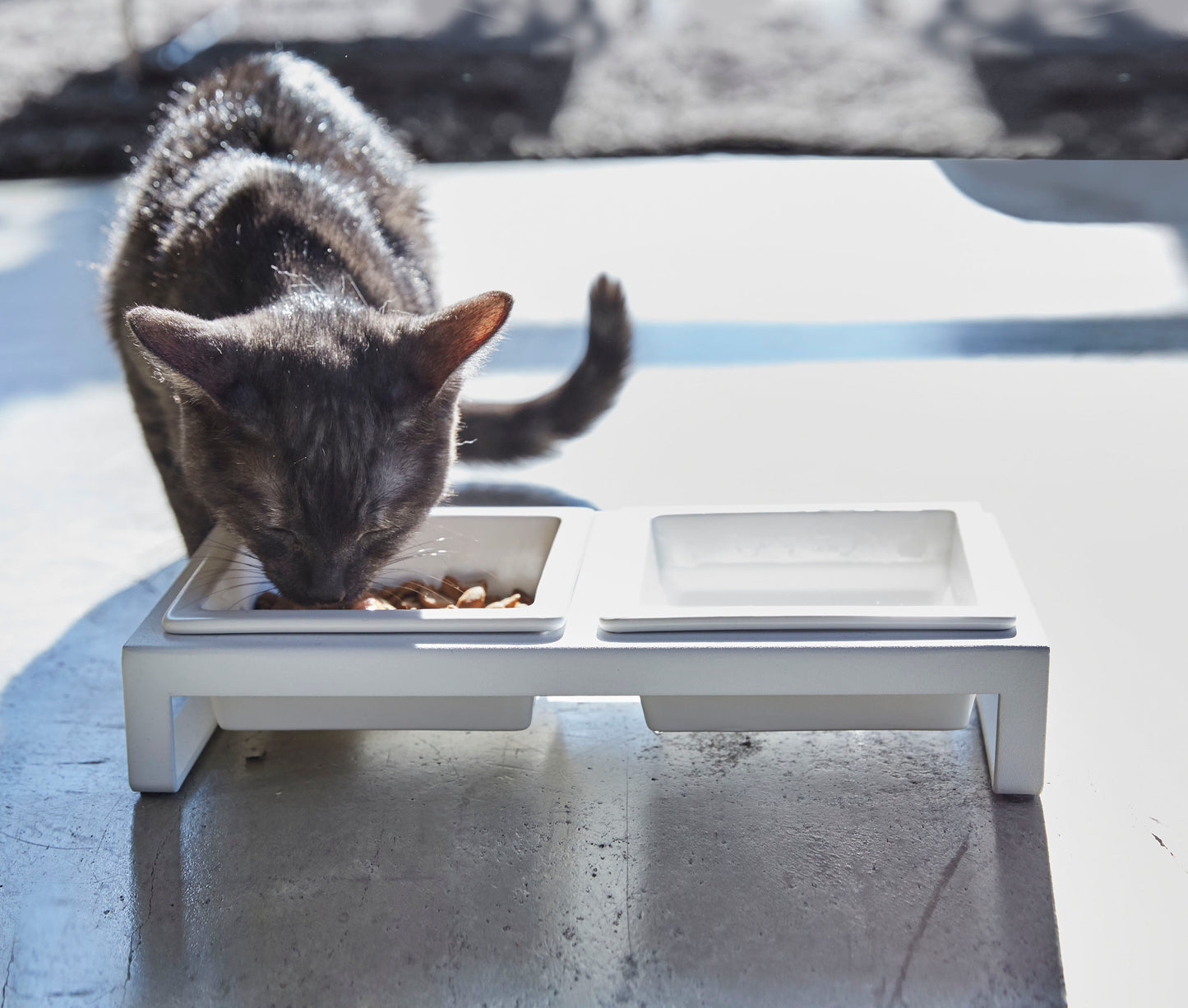 Pet Food Bowl - Short
