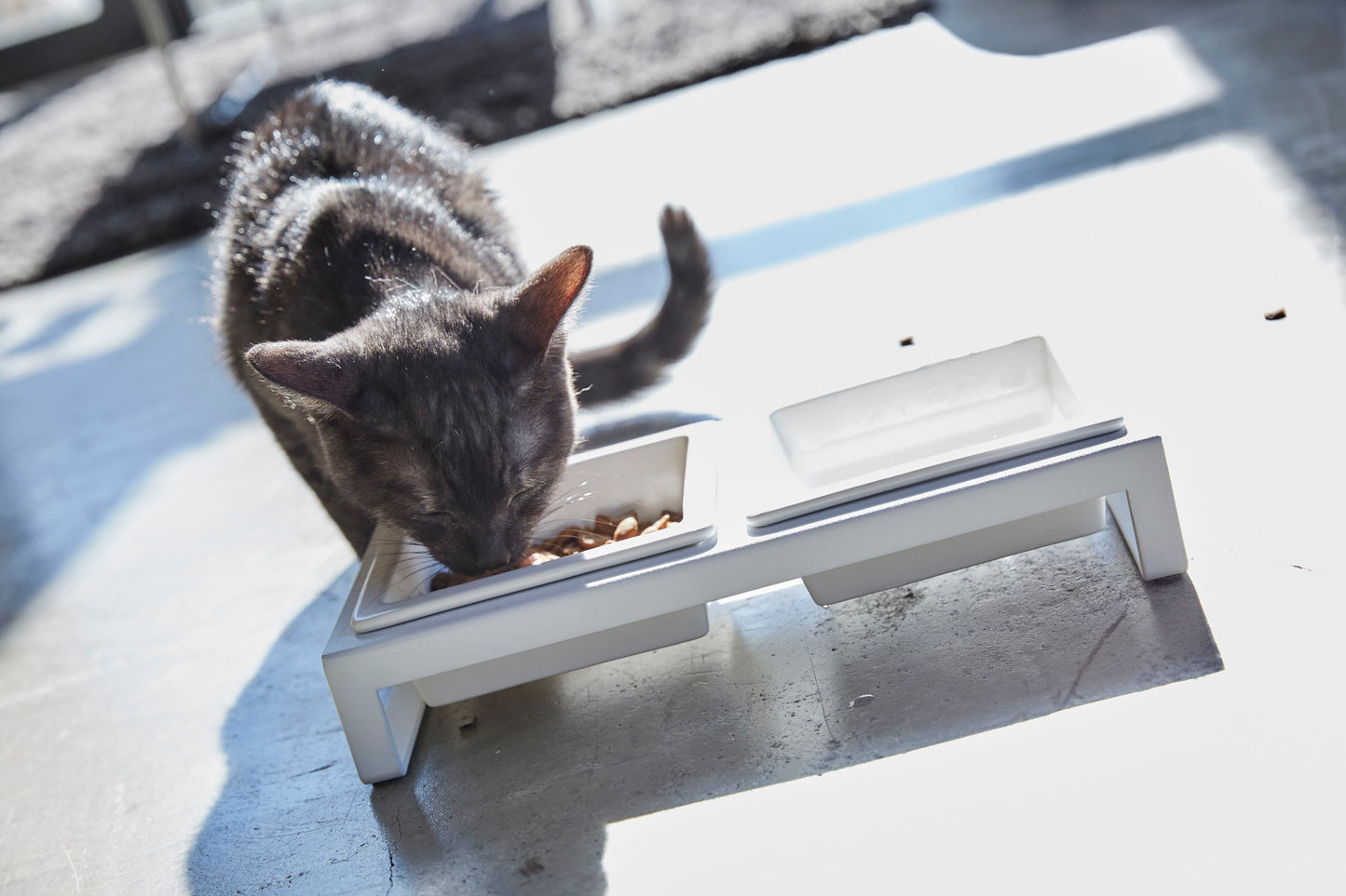 Pet Food Bowl - Short