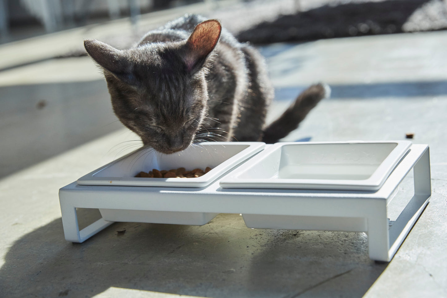 Pet Food Bowl - Short