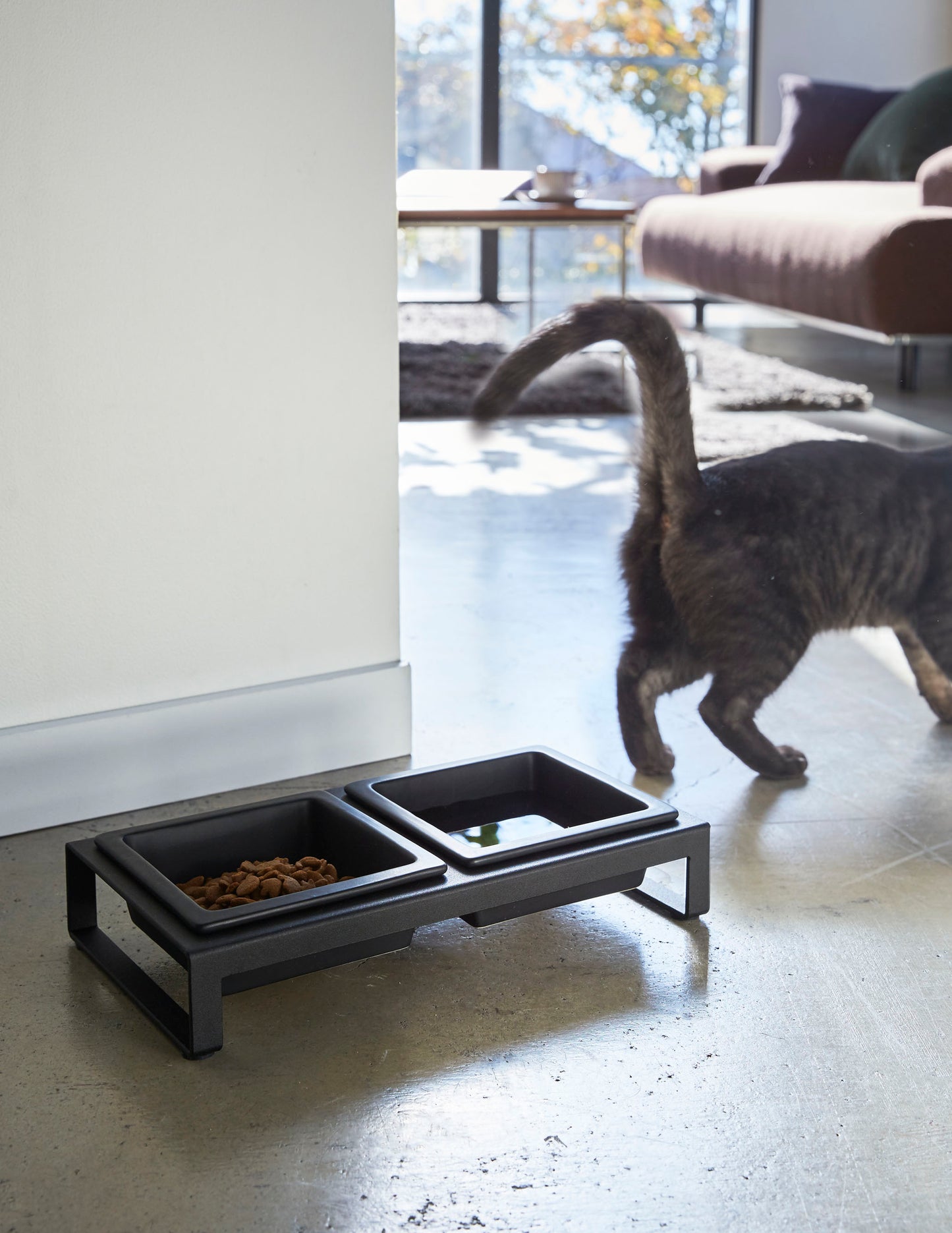 Pet Food Bowl - Short