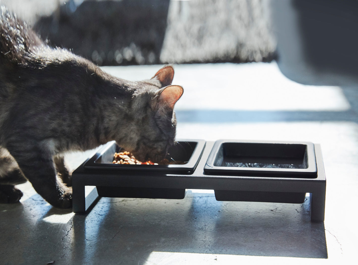 Pet Food Bowl - Short