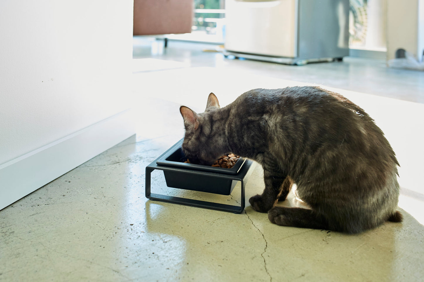 Pet Food Bowl - Short