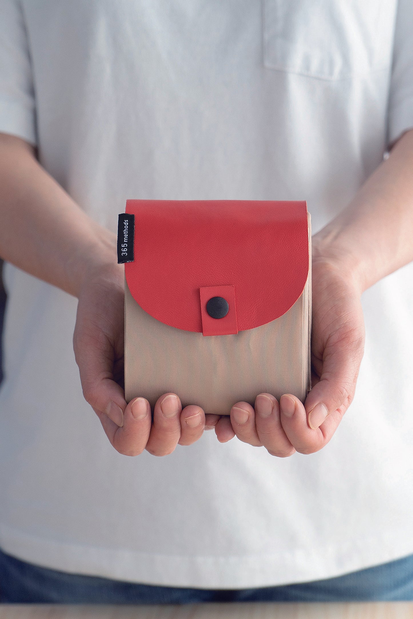 Folding Bag - Beige Red